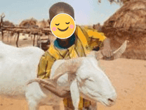 Kurban Bağışlarının Önemi ve Temel Amacı