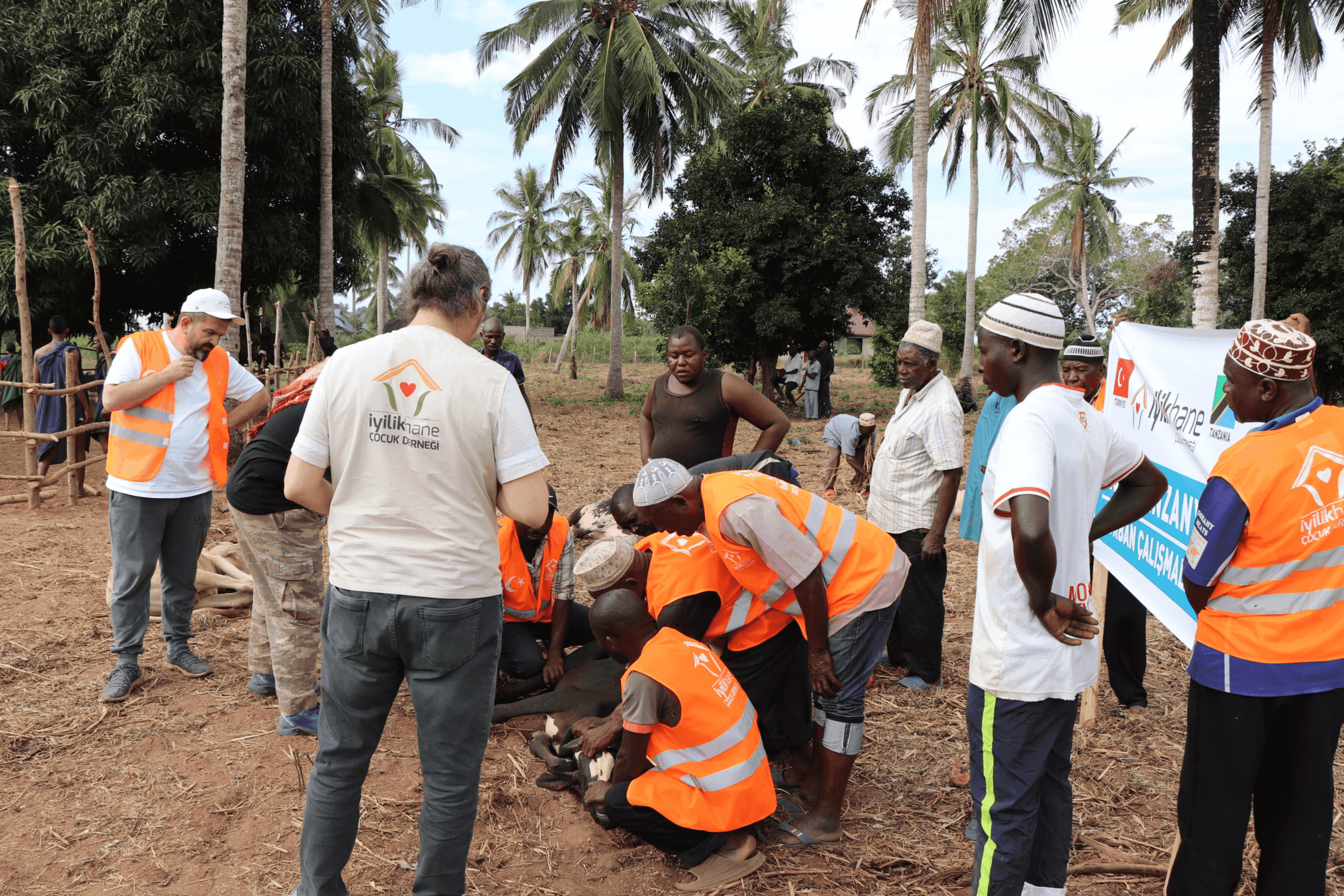 Afrika Adak Kurban Bağışı