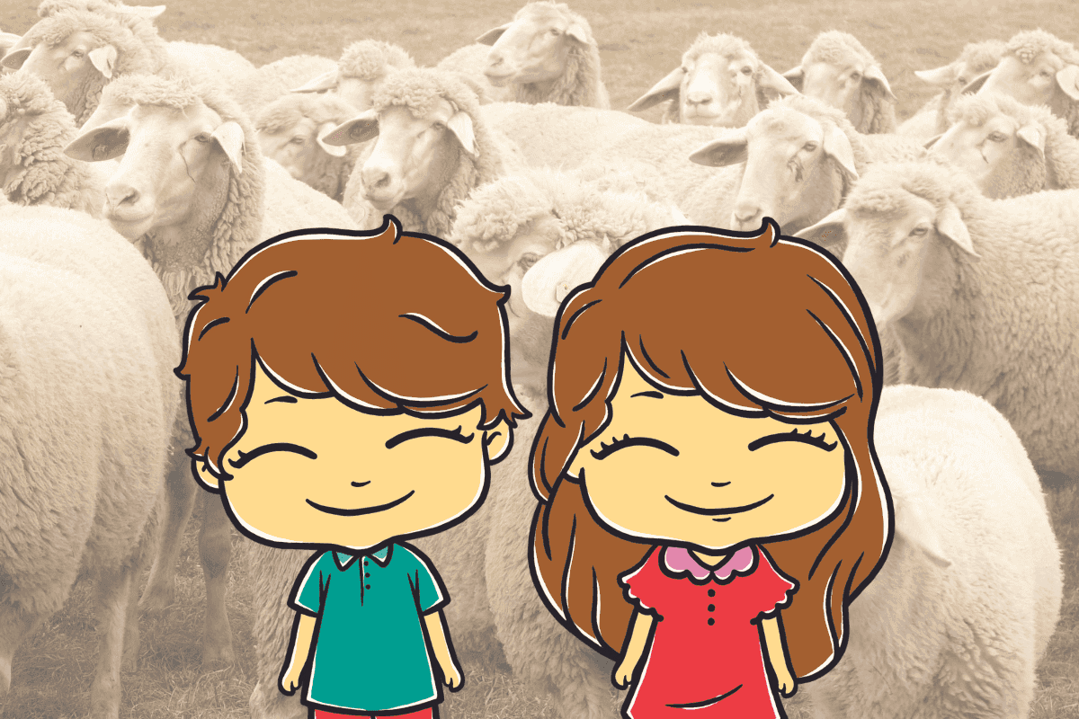 Türkiye Şükür Kurban - İyilikhane