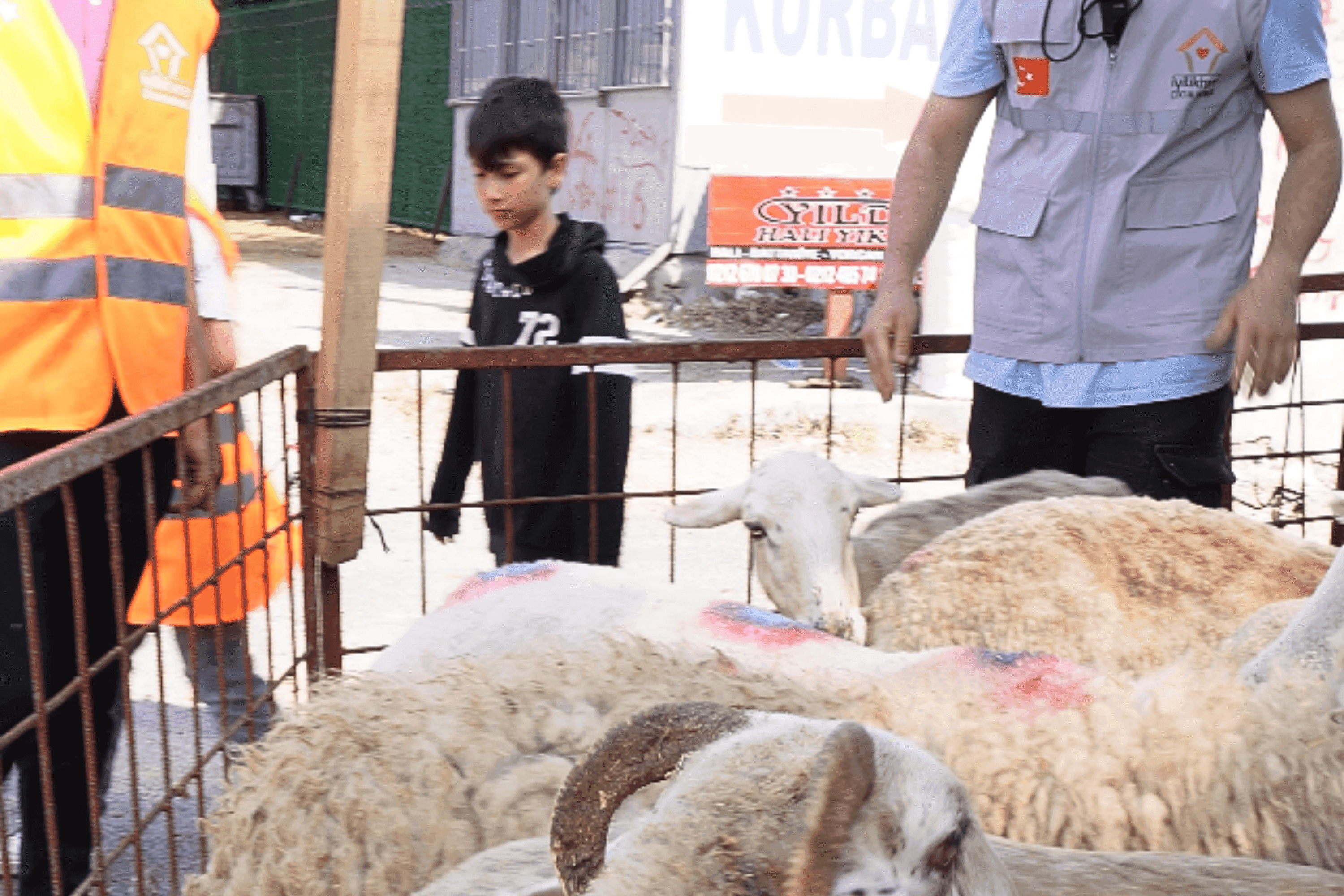 Türkiye Sadaka Kurban Bağışı