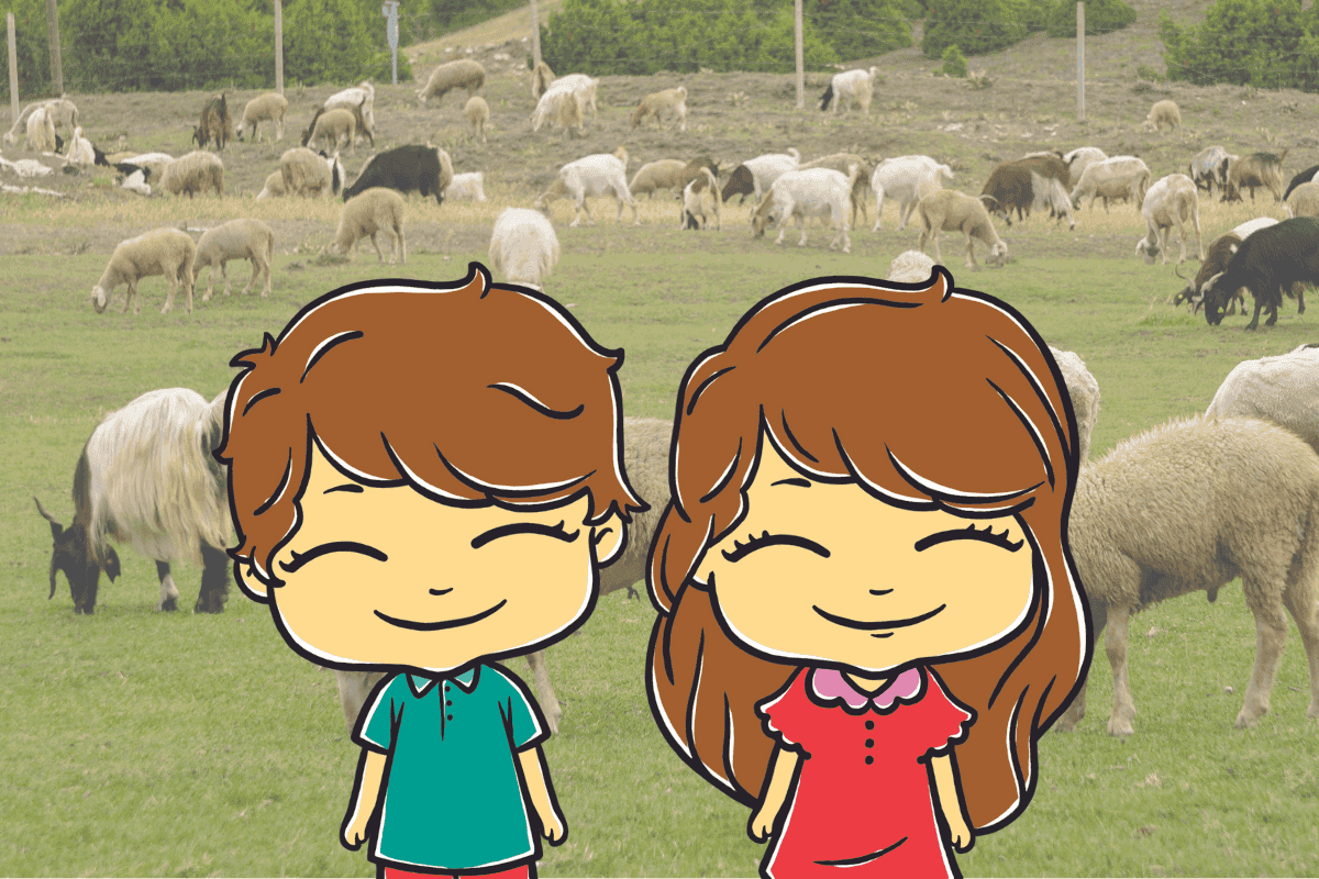 Türkiye sadaka Kurban - İyilikhane